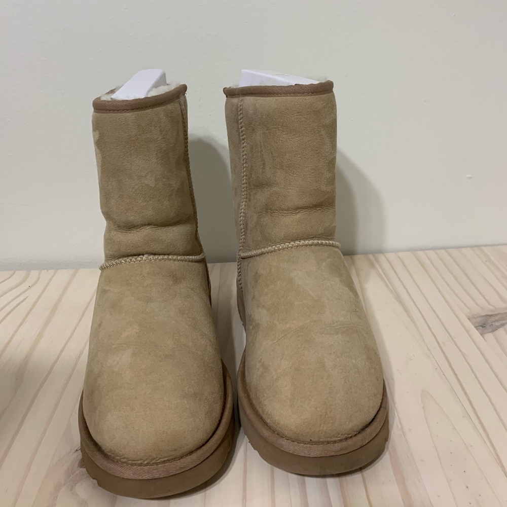 Classic short tan UGG boots
